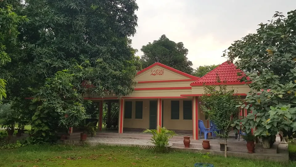 Malik Fruit Farm cover