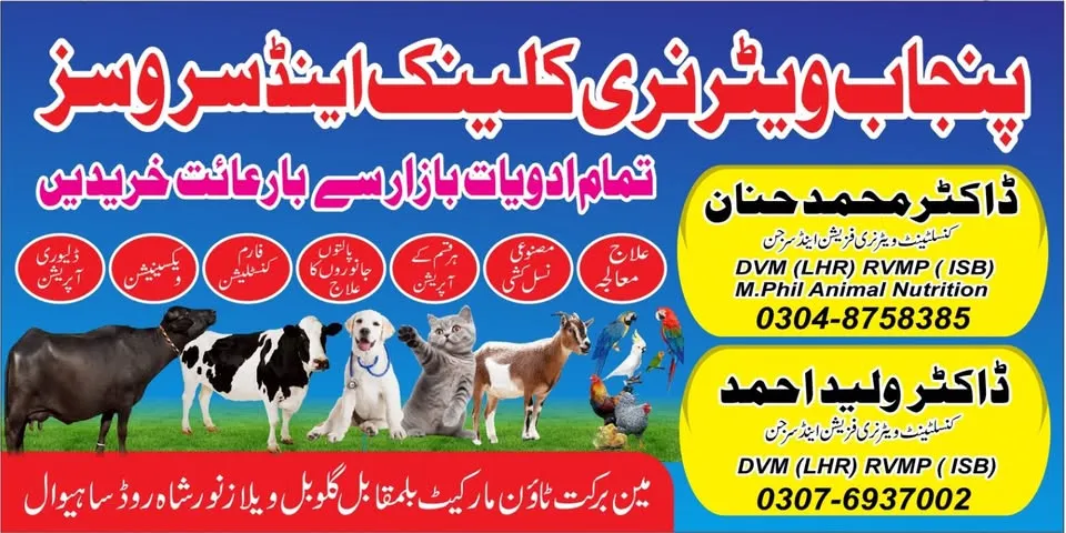 Punjab Veterinary Clinic and Services cover