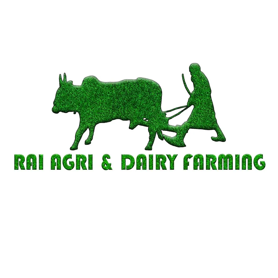 Rai Dairy & Agriculture Farm cover