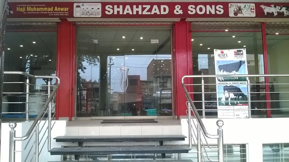 Shahzad Traders (Shahzad and Sons) cover