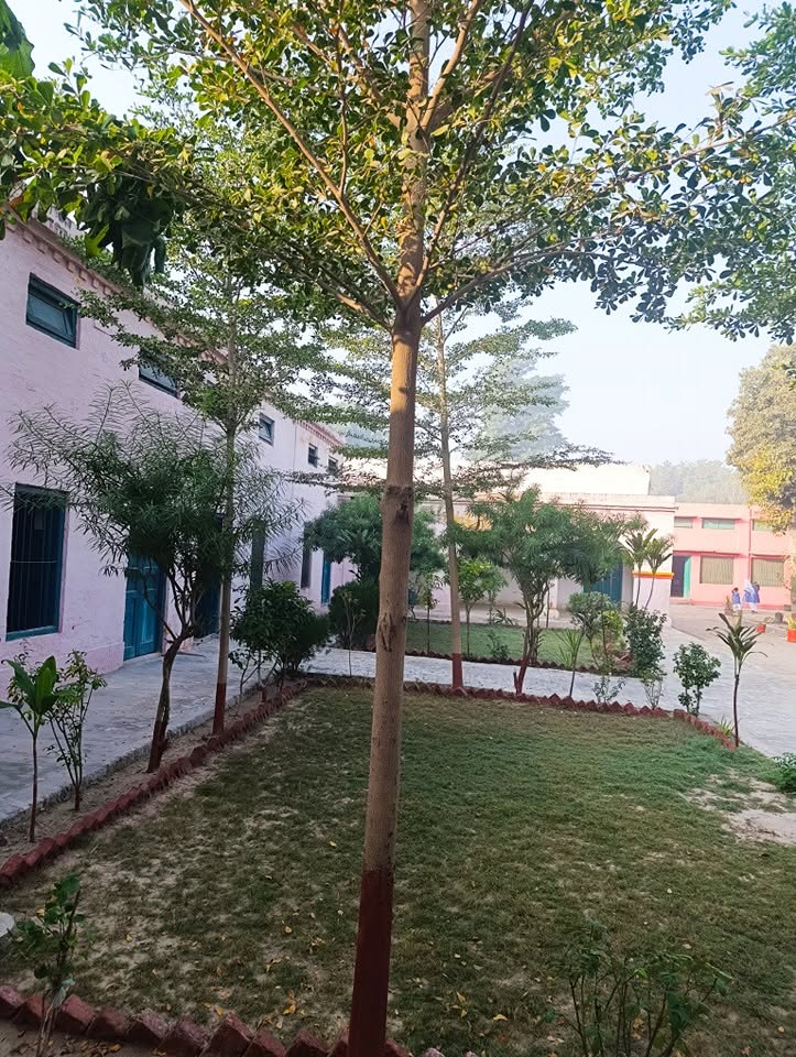 Govt Girls Islamia High School cover