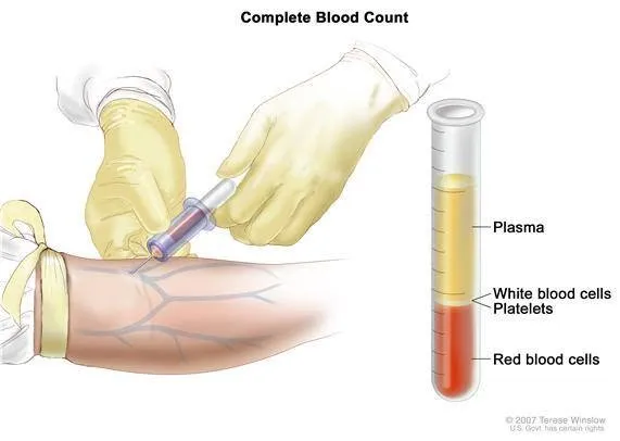 Punjab Diagnostic laboratory cover
