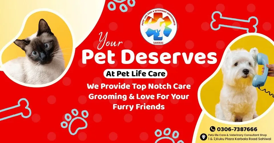 PETS' LIFE CARE AND VETERINARY CONSULTANTS cover