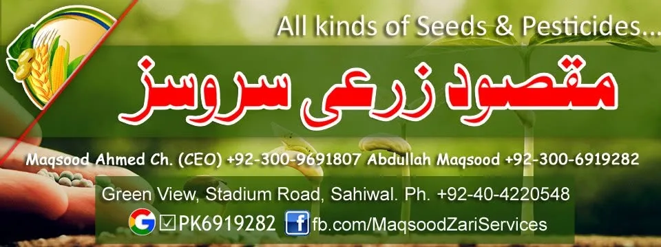 Maqsood Zarai Services Sahiwal cover