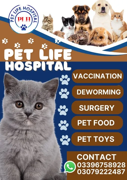 Gallery photo of Pet Life Hospital
