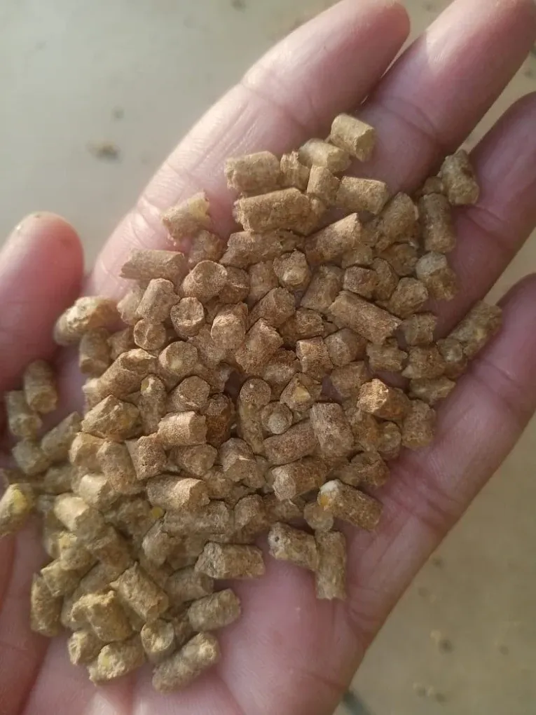 Gallery photo of Asif feeds private limited
