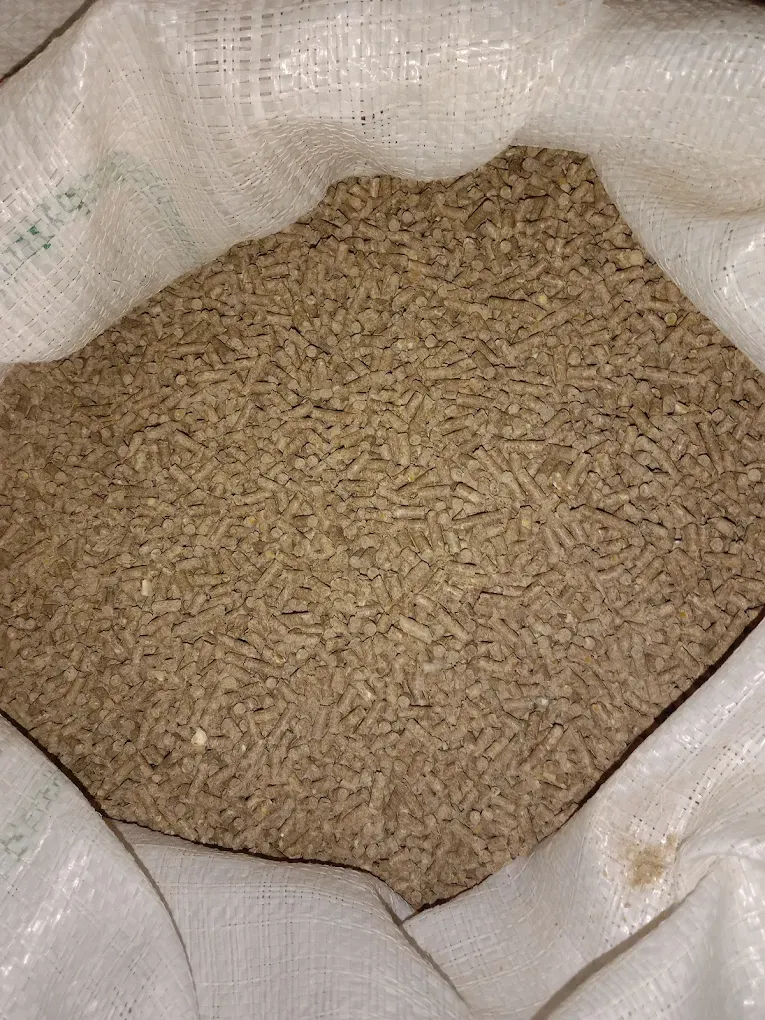 Gallery photo of Asif feeds private limited