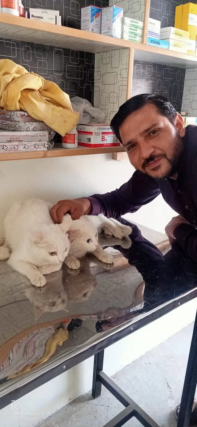Gallery photo of Al-Shifa Vet Clinic