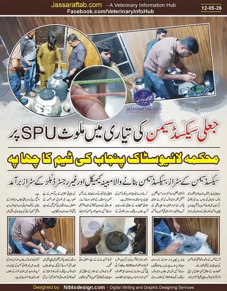 Gallery photo of SAHIWAL BAKRA Mandi