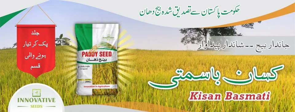 Gallery photo of Innovative Seeds
