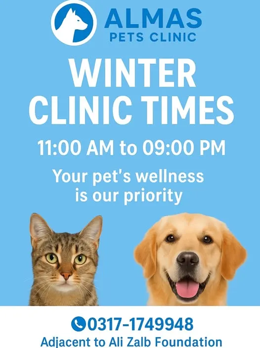 Gallery photo of Almas Pets clinic