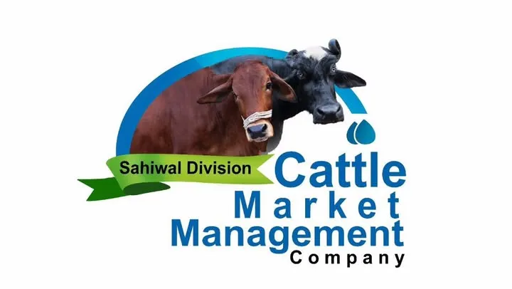 Gallery photo of Sahiwal Cattle Market