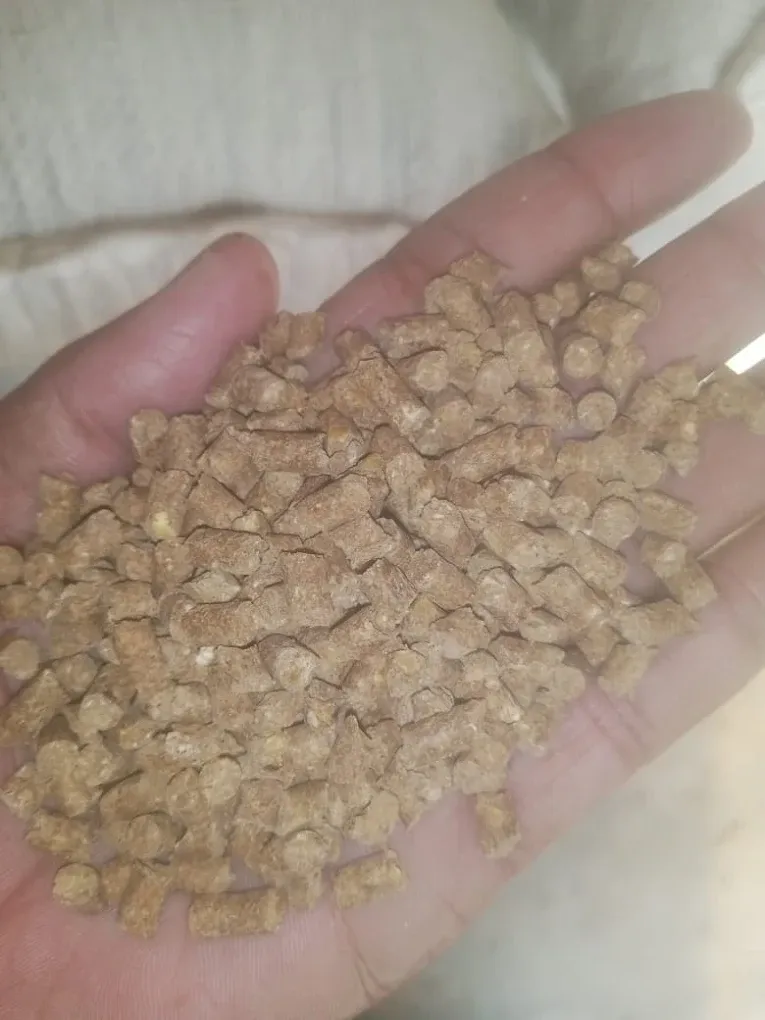 Gallery photo of Asif feeds private limited
