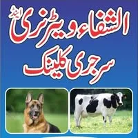 Gallery photo of Al-Shifa Vet Clinic