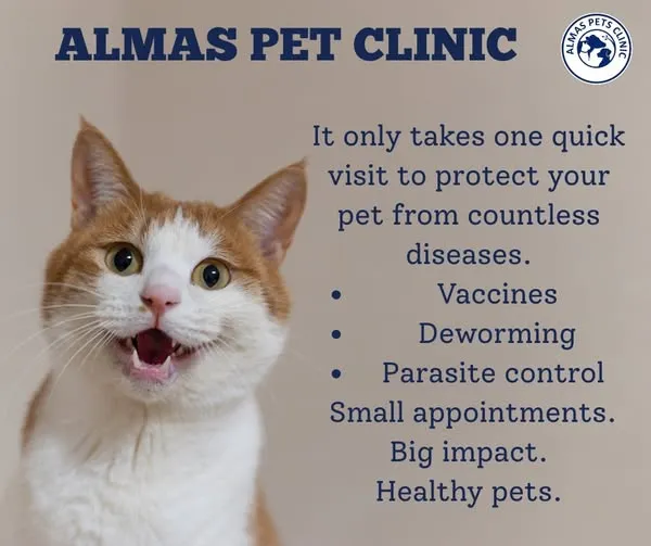 Gallery photo of Almas Pets clinic