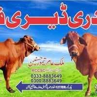 Mustafia Livestock Farm logo