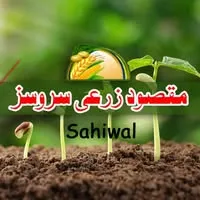 Maqsood Zarai Services Sahiwal logo