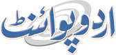 Govt MC Girls High School JUNIOR MODEL NO.3 logo