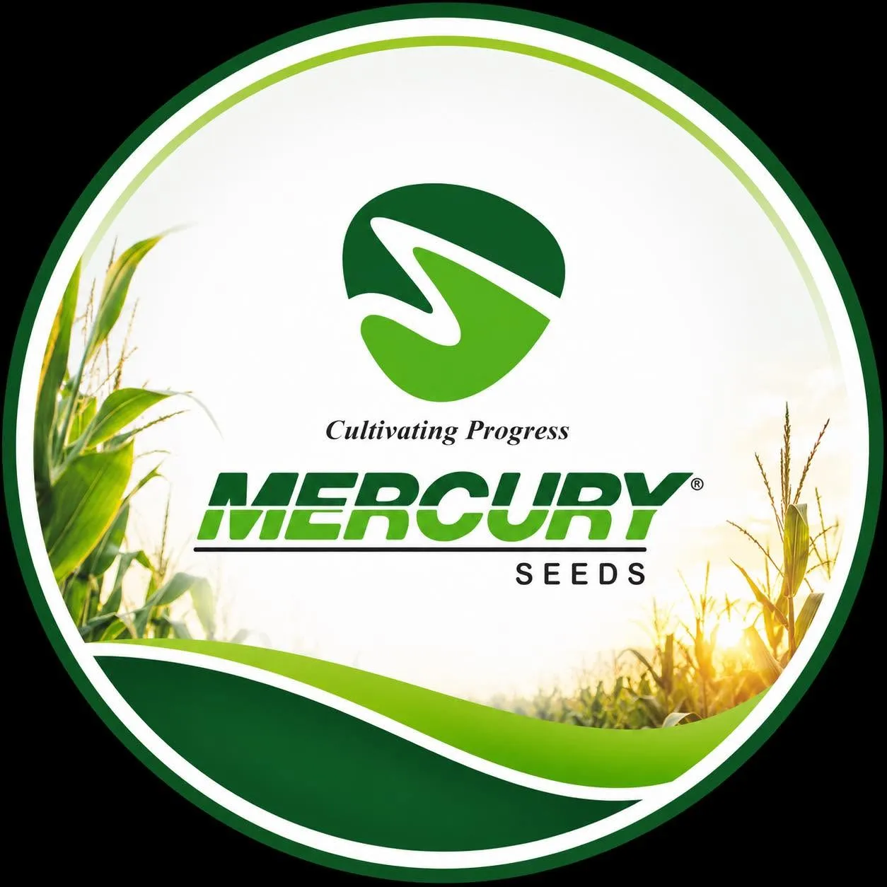 Mercury Seeds Company logo