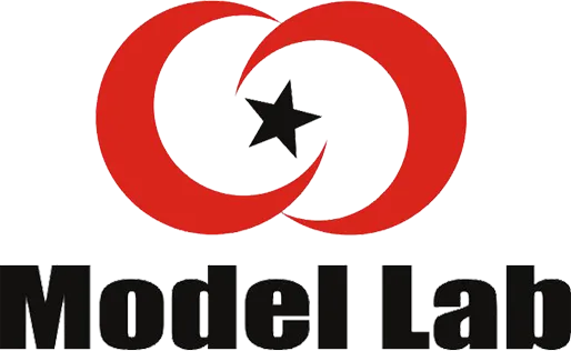 Model Lab Sahiwal logo