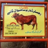 Sahiwal Farms Ltd logo