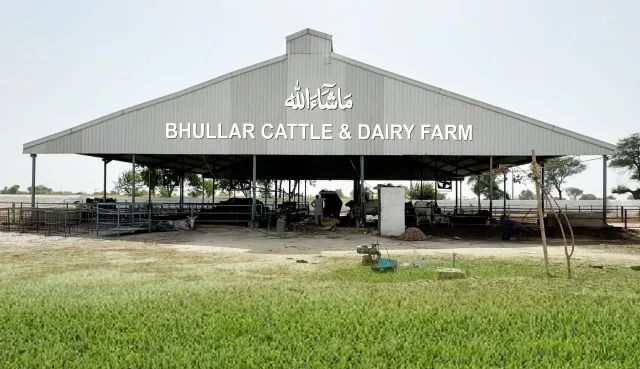 Bhullar Cattle And Dairy Farm